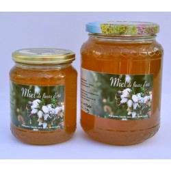 Miel de fleurs 2023